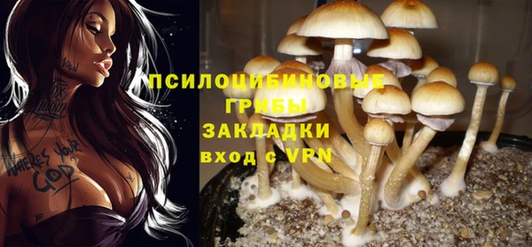 прущая мука Армянск