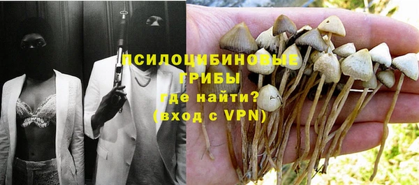 прущие грибы Балахна