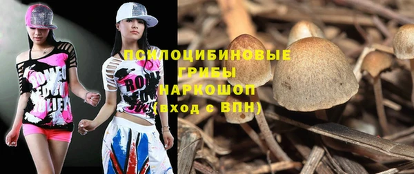 ECSTASY Баксан