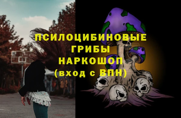 ECSTASY Баксан