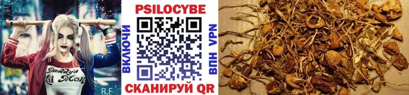 Псилоцибиновые грибы Magic Shrooms  Устюжна 